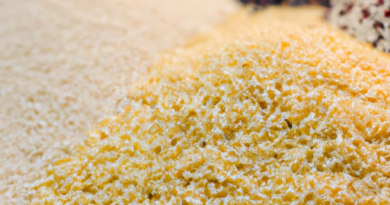 Les cuiseurs de riz et les régimes spécifiques : Sans gluten, sans lactose, etc.