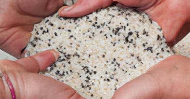 Les cuiseurs de riz et la cuisine pour les fêtes : Préparez des plats spéciaux.