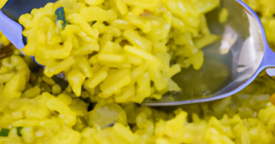 Les cuiseurs de riz et la cuisine végétarienne : Recettes à base de protéines végétales.