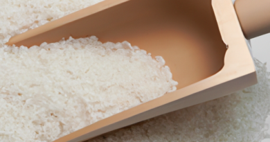 Les cuiseurs de riz pour les repas préparés à l’avance : Gain de temps et de planification.
