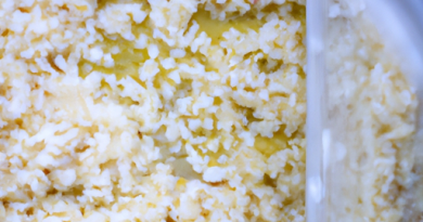 Les cuiseurs de riz à cuisson sous vide : Verrouillage de la saveur et de l’humidité.