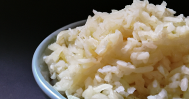Les cuiseurs de riz et la cuisine pour les amateurs de plats exotiques : Explorez des recettes uniques.