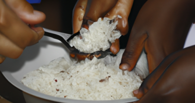 Les cuiseurs de riz et la préparation de plats pour les personnes atteintes de diabète : Contrôle de la glycémie.