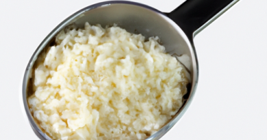 Les cuiseurs de riz à cuisson rapide : Idéaux pour les jours chargés.