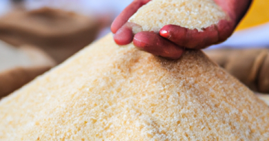 Le marché des cuiseurs de riz : Croissance et perspectives.