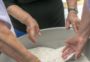 Les cuiseurs de riz et la préparation de plats pour les personnes âgées : Facilité d’utilisation et nutrition.
