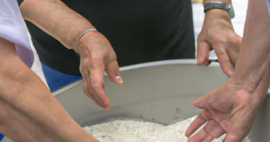 Les cuiseurs de riz et la préparation de plats pour les personnes âgées : Facilité d’utilisation et nutrition.