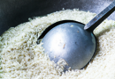 Les cuiseurs de riz pour les familles nombreuses : Cuisson en grande quantité.
