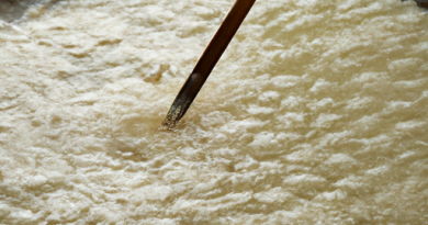 Les cuiseurs de riz et la préparation de desserts : Créez des douceurs sucrées sans tracas.