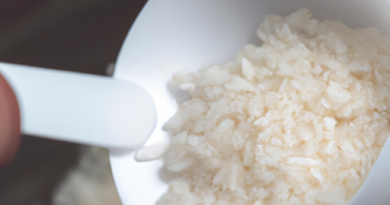Les cuiseurs de riz et la cuisine santé : Créez des repas nutritifs pour le bien-être général.