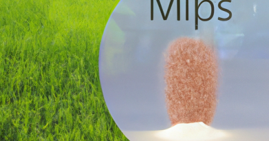 L’impact environnemental des cuiseurs de riz : Analyse et solutions.