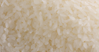 Les cuiseurs de riz pour les familles nombreuses : Cuisson en grande quantité.