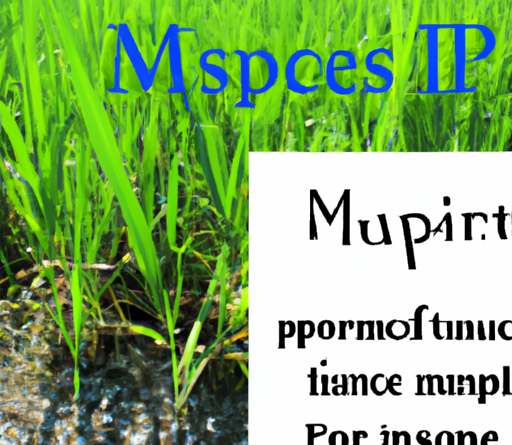 L’impact environnemental des cuiseurs de riz : Analyse et solutions.