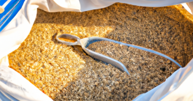 Les cuiseurs de riz solaires : Une solution éco-responsable.