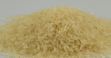 Comment maximiser l’efficacité énergétique de votre cuiseur de riz.