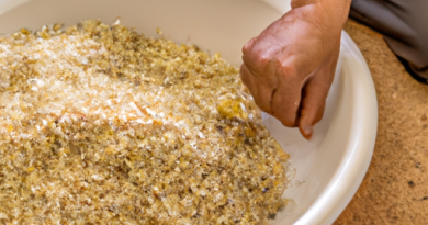 Les cuiseurs de riz et la préparation de plats pour les personnes âgées : Facilité d’utilisation et nutrition.